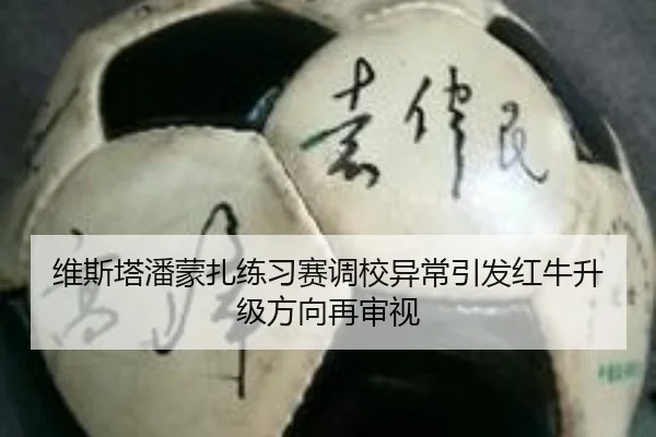维斯塔潘蒙扎练习赛调校异常引发红牛升级方向再审视